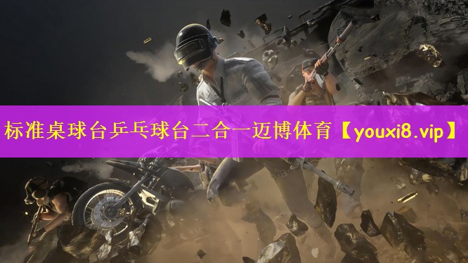 标准桌球台乒乓球台二合一迈博体育