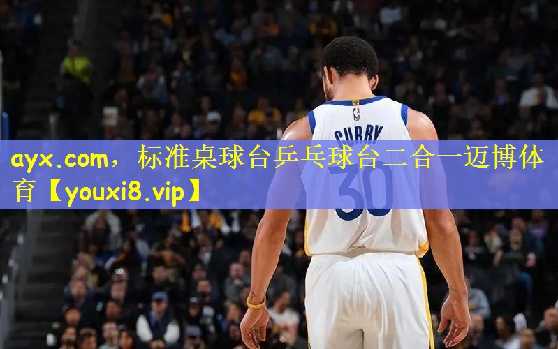 ayx.com，标准桌球台乒乓球台二合一迈博体育