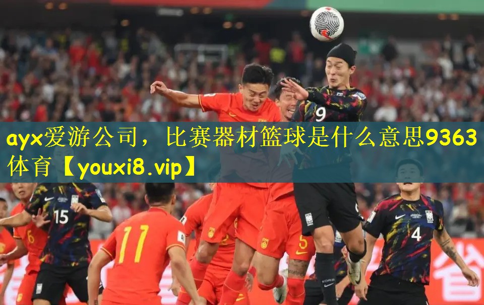 ayx爱游公司，比赛器材篮球是什么意思9363体育