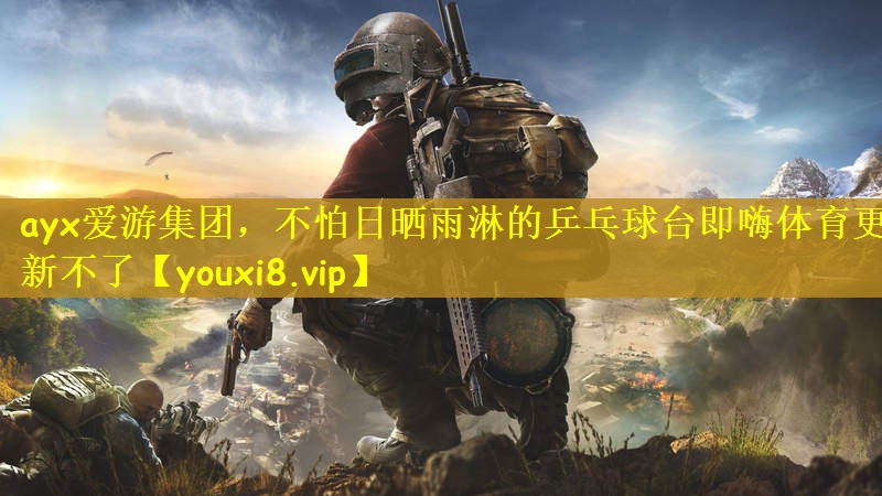 ayx爱游集团，不怕日晒雨淋的乒乓球台即嗨体育更新不了