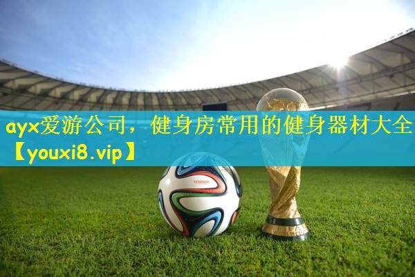 ayx爱游公司，健身房常用的健身器材大全