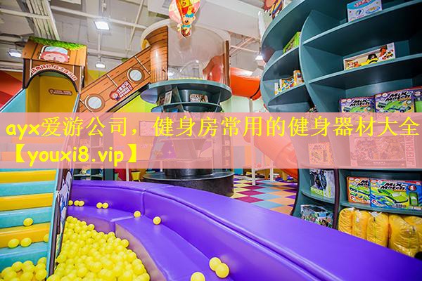 健身房常用的健身器材大全