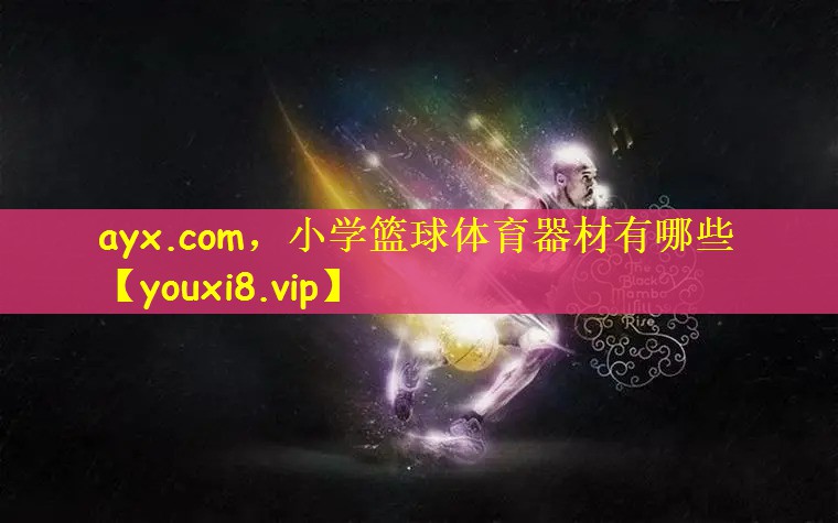 小学篮球体育器材有哪些
